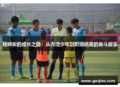 程帅澎的成长之路：从青涩少年到职场精英的奋斗故事